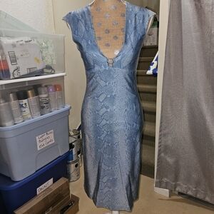 Blue Snake-Print Dress